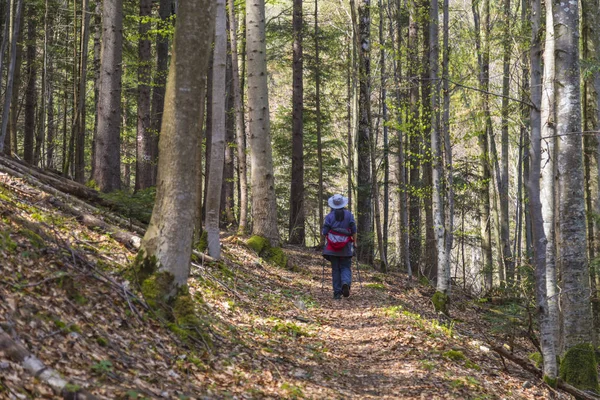 Kadın atletik t hiking orman yürüyüş meşgul