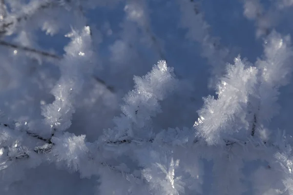 Wintermärchen - frostige Kristalle im Sonnenlicht — Stockfoto