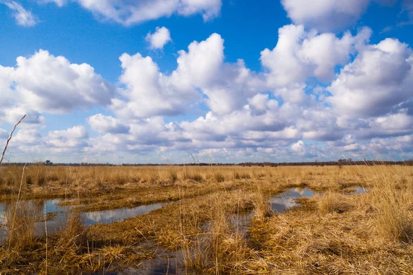 Prairies inondées au début du printemps — Photo