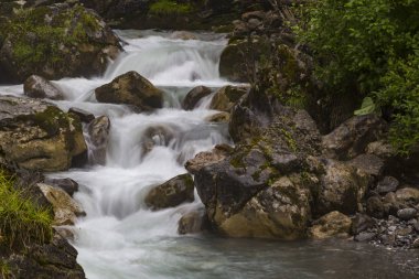 Yosunlu taşlar ve kayalar gorge yeşil orman içinde arasında akan nehir hızlı dağ. 