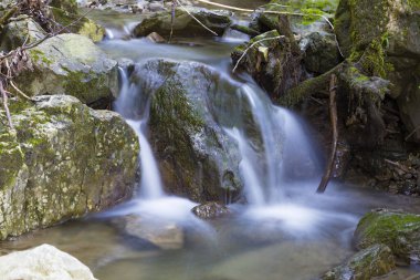 Dağdaki derede küçük bir dere