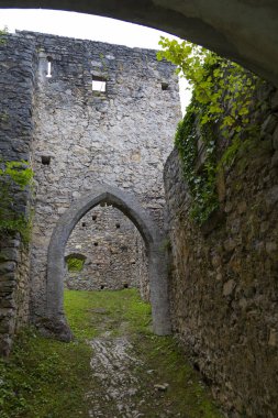 Burgruine Gallenstein. Styria, Avusturya 'daki kale. .
