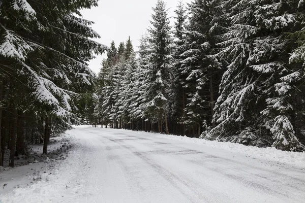 Snowy winter in Slowakije. Goed, Tatra. Podbanske dorp — Stockfoto