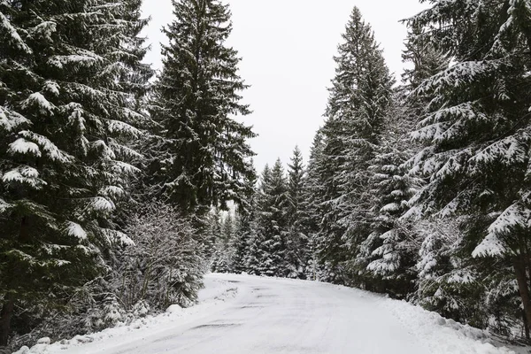 Snowy winter in Slowakije. Goed, Tatra. Podbanske dorp — Stockfoto
