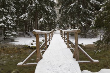 Güzel ahşap köprüye yakın plan, karla kaplı,