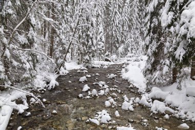 Karlı kış nehri. Rohace - Spalena Vadisi, Slovakya