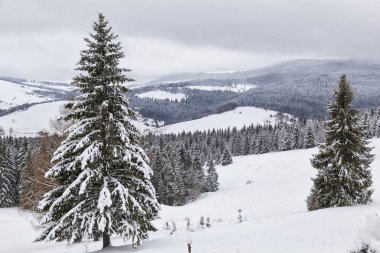 Kış alp manzarası. Batı Tatras. Slovakya