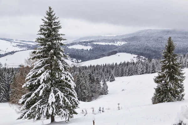 Winter uitzicht op de Alpen. Westelijke Tatra. Slowakije — Stockfoto