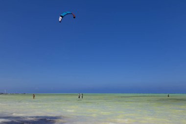 Tanzanya 'nın Jambiani köyü yakınlarındaki Zanzibar adasının kıyısında. Dünyanın dört bir yanından gelen turistler uçurtma sörfü ile meşgul. Dünyanın ünlü uçurtma sörfü tatili yeri.. 