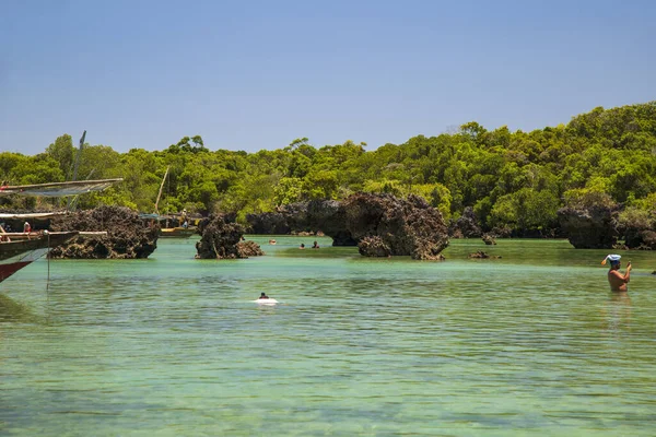 2019 Isla Bahía Kwale Zanzíbar Tanzania Paseo Barco Bosque Manglares —  Fotos de Stock