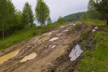 Dağlarda ilkbahar manzarası. Toprak yol yeşil ormanın içindeki su birikintileriyle bulanıklaştı. Karpat Dağları. Ukrayna.