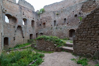 Ortaçağ şatosu Ortenbourg 'un kalıntıları. Ren Vadisi' nin en güzel harabelerinden biri. Alsace bölgesi, Fransa. Turizm beldesi, turizm beldesi.