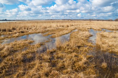 Baharın başlarında manzara çayırları sular altında bıraktı. Su birikintilerine yansıyan beyaz bulutlar. Baharda güneşli bir günde güzel bir bozkır. Orman bozkır bölgesi. Ukrayna.