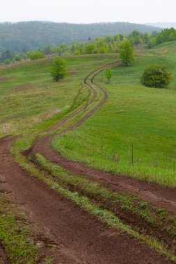 Güzel renkli tepeler sisle kaplı ormanlarla kaplı. Yeşil tepelerin arasından geçen toprak yol. Ukrayna doğası. Opishnya köyü, Poltava bölgesi, Ukrayna