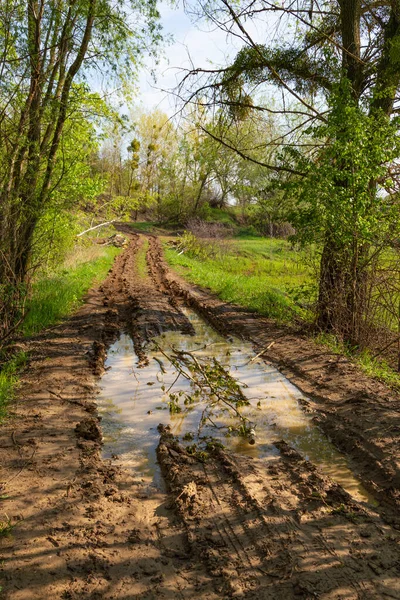 Landskap Med Grusväg Landsbygden Vattenpölar Bland Den Gröna Skogen Sommar — Stockfoto