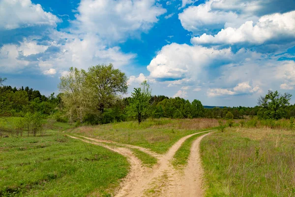 Landskap Med Två Grusvägar Bland Gröna Fälten Sommar Ukrainsk Natur — Stockfoto