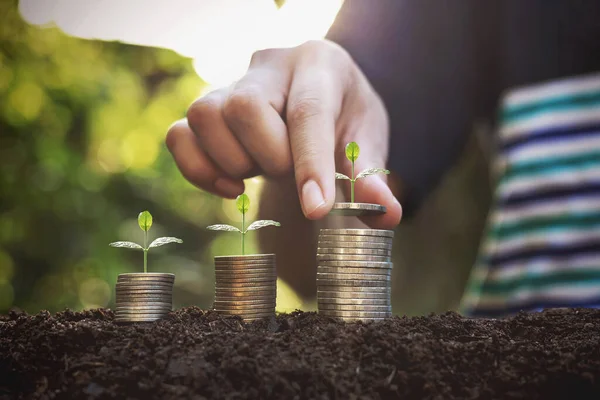 Hand Gibt Eine Münze Einen Baum Der Aus Einem Haufen — Stockfoto