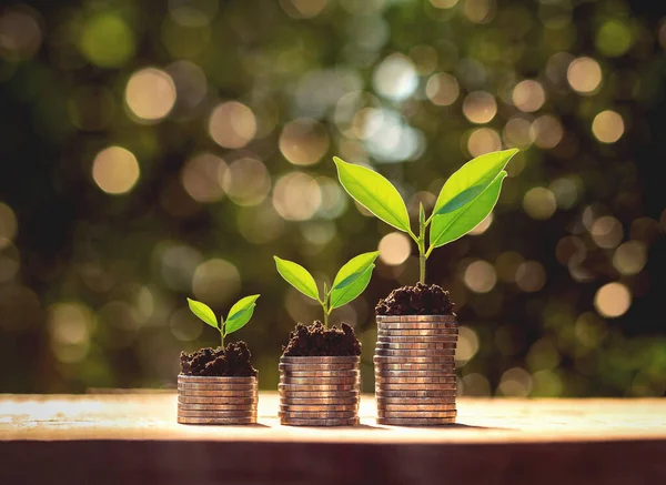 Pila Monedas Con Planta Crecimiento Paso Sol Fondo Concepto Ahorro — Foto de Stock
