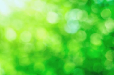 Bulanık bir arkaplanda yeşil bokeh Yapraklardan doğal yeşil bokeh