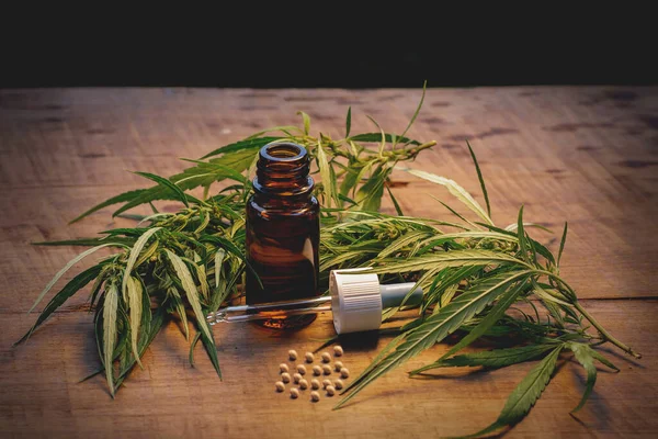 Tıbbi amaçlar için marihuana, ot ve yapraklar.