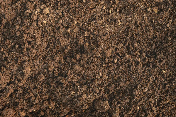 Close Loam Fértil Para Fundo — Fotografia de Stock