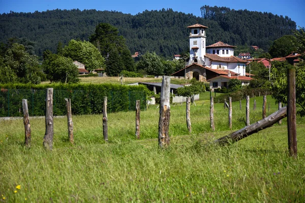 Igreja e grama verde 3 — Fotografia de Stock