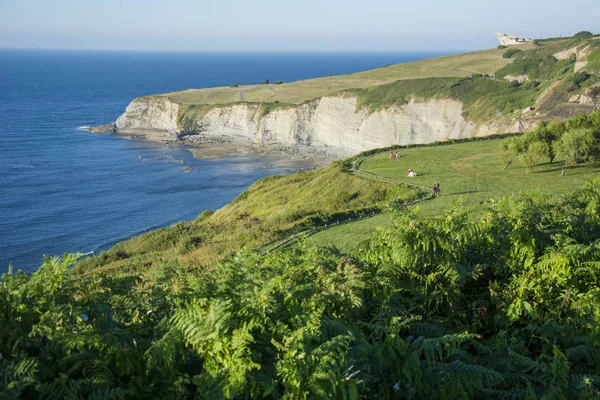 Asturische landschap 87 — Stockfoto