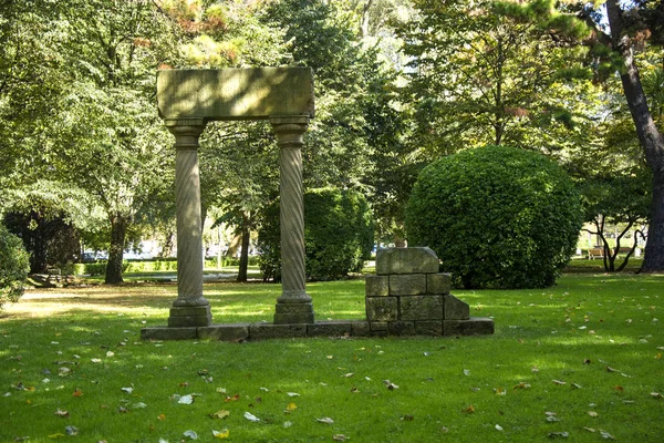 Foto Parco Con Erba Verde Alberi Luce Solare — Foto Stock