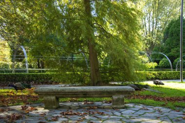 Bir taş tezgah ağaç ve güneş ışığı ile fotoğraf
