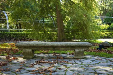 Bir taş tezgah ağaç ve güneş ışığı ile fotoğraf