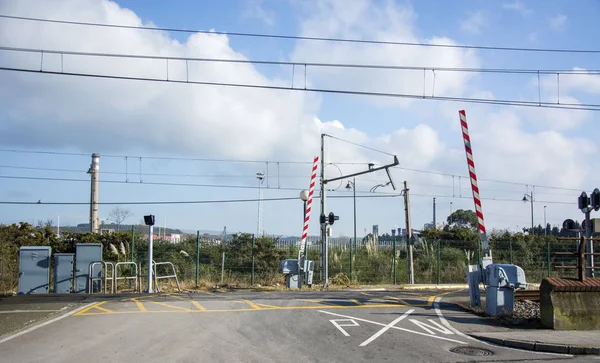 Photo Several Road Sings Blue Sky Several Colours Sunlight — Stock Photo, Image