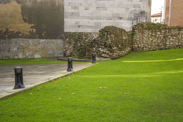 Parkdetail Mit Kalten Farben Grünem Gras Und Steinmauer — Stockfoto