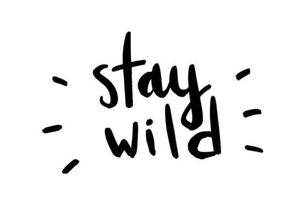 Stay wild. Handwritten lettering illustration isolated on white background. Black vector text written in calligraphy style — Stock Vector