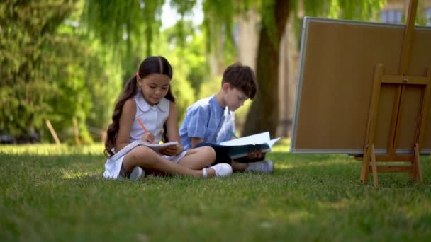 Les Jeunes Élèves Apprennent Dessiner Leurs Albums Asseyant Sur Herbe — Video