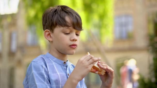Close Shoulders Boy Who Enjoys Biting Sandwich His Mom Prepared — Stock Video