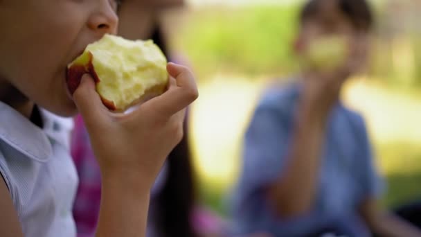 女の子がリンゴを食べるのを閉じてください 屋外で休暇を楽しんで座っている子供たちと母親と子供たちに新鮮なリンゴを食べさせます フロントは男の子がリンゴを食べると遅い動きでリンゴを食べている女の子がぼやけている — ストック動画