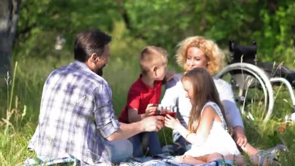 Egy család két gyerekkel, egy fiú és egy lány, ülnek a gyepen és gyümölcslevet isznak egy pikniken. A család mögött van egy tolószék. Családi fogalom. Gyümölcsfélék. — Stock videók