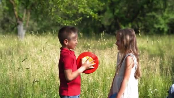 Dos niños un niño y una niña están de pie en el césped con un frisbee en sus manos en el fondo son padre y madre en una silla de ruedas y sonriendo, mirando a los niños. Concepto familiar. Prores 422 — Vídeo de stock