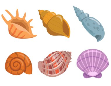 Bir dizi su altı kabuğu.