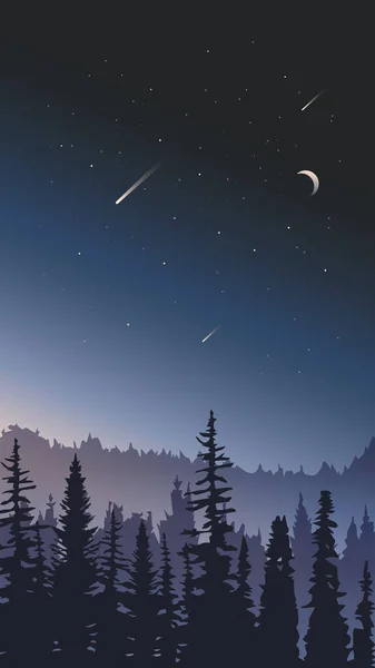 Ciel nocturne Paysage . — Image vectorielle