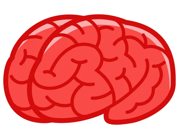 Cerebro humano en estilo de dibujos animados . — Vector de stock