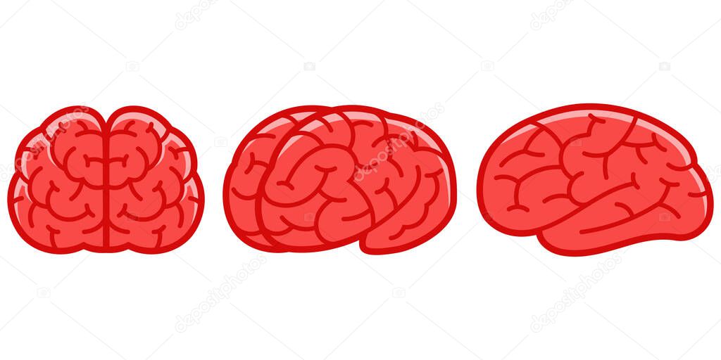 Human brains in cartoon style.