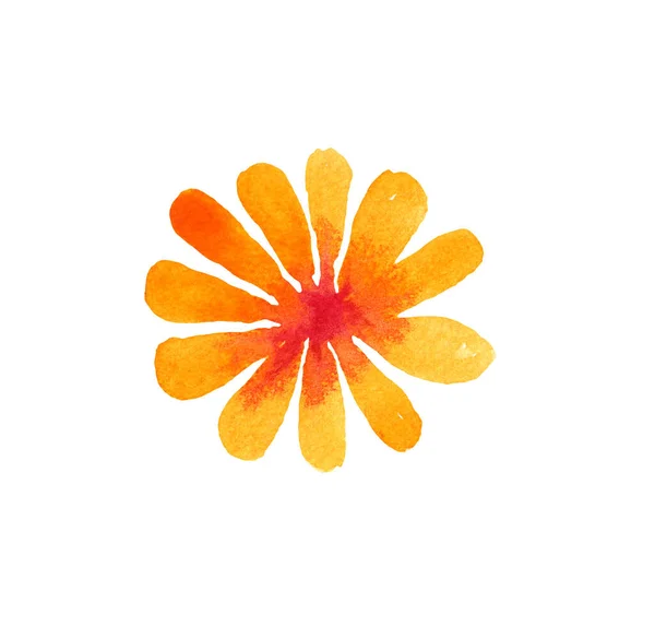 Flower Bright Leaves Orange Yellow Red Watercolor White Background — Stock Photo, Image