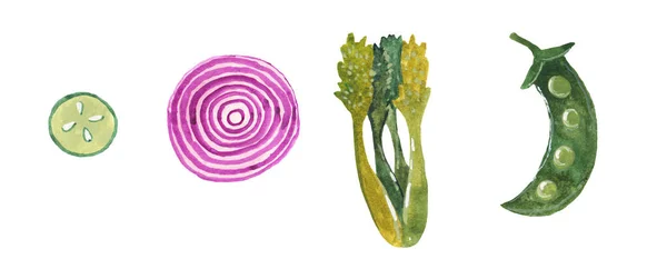 Zeleninová Okurka Cibule Celer Hrášek Akvarel Ilustrace Bílém Pozadí — Stock fotografie