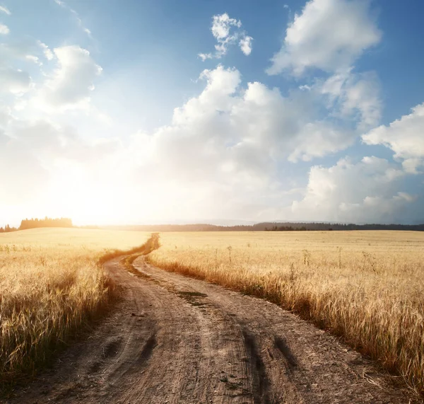 Campo Céu Sol Nuvens — Fotografia de Stock