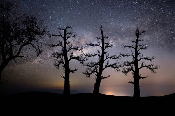 Milky Way Shot Mountainous Area First Floor Silhouettes Three Large — Stock Photo, Image