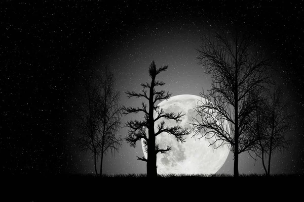 大きな月の星空と木々のシルエットで夜の風景を描いたイラスト — ストック写真