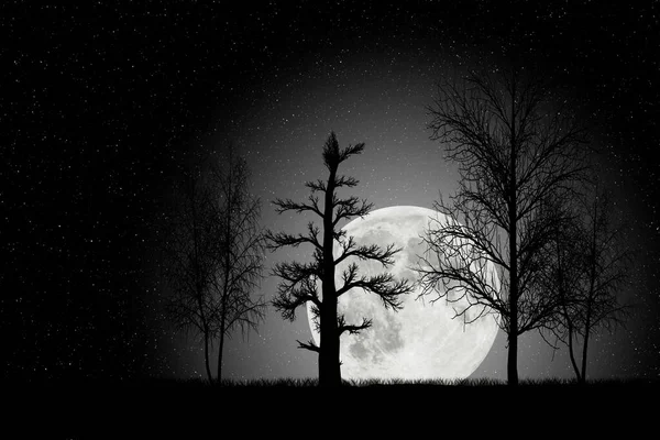 Büyük ay yıldızlı gökyüzü ve ağaçların siluetleriyle bir gece manzarası tasvir ediliyor.
