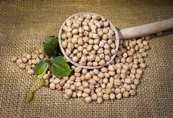 Garbanzos Composición Garbanzos Con Contenedor Madera Sobre Fondo Lona Yuta — Foto de Stock