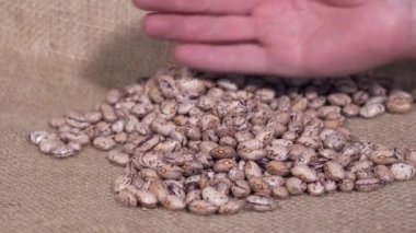 Doğal kenevir bezinde kurutulmuş fasulye. Çiftçinin eli fasulyeleri yakın plan çekimde hareket ettirir..